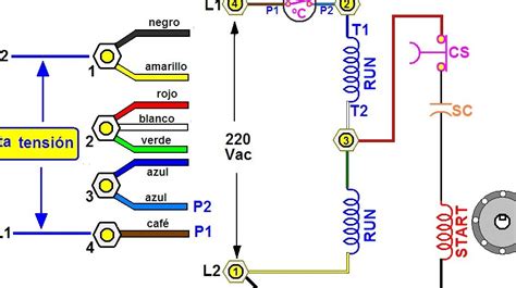 Conexi N De Motor Monof Sico De Puntas Gu A Completa Paso A Paso