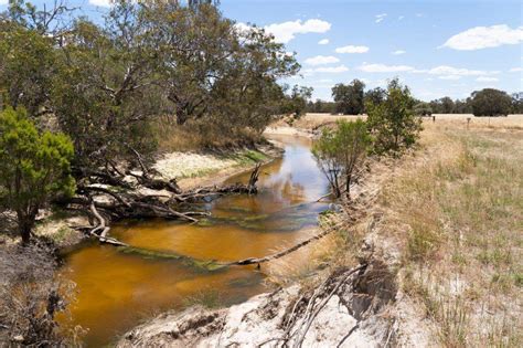 Cowalla Camping on Moore River; a ripper weekender