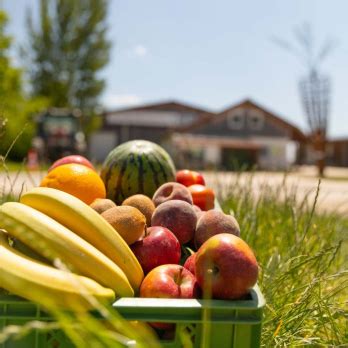 Firmenkiste Obst Grüne Kisten Produkte Bio Gemüsehof Hörz