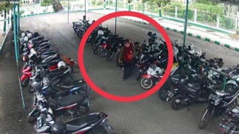 Video Viral Di Pamekasan Cewek Berkerudung Curi Helm Di Parkiran