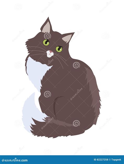 Siberian Cat Vector Flat Design Illustration Stock Vector