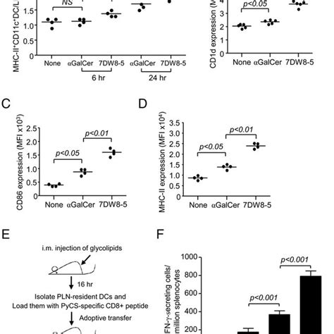 The Potent 7dw8 5 Adjuvant Effect Is Dependent On The Route Of Its