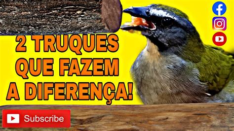 2 dicas para trinca ferro indispensáveis para usar no dia YouTube