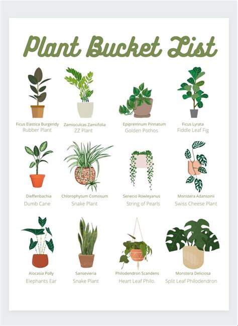 12x16 Plant Lover Poster - Plant Bucket List