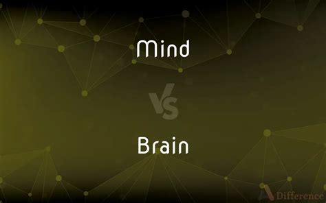 Mind vs. Brain — What’s the Difference?