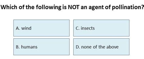 Pls Po Paayos Ng Sagot Brainly Ph