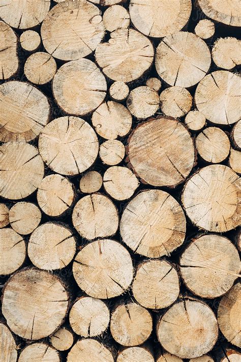 Stack Of Cut Logs Del Colaborador De Stocksy Rialto Images Stocksy