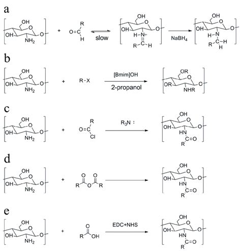 Scheme Of Alkylated Chitosan Through Different Chemical Reactions A Download Scientific