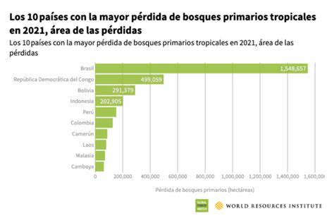 Details Tala De Rboles En M Xico Estad Sticas Abzlocal Mx