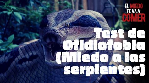 Test De Ofidiofobia Miedo A Las Serpientes Academia Gratuita