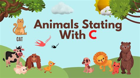 Animals Starting With C English Vocabulary Your Info Master