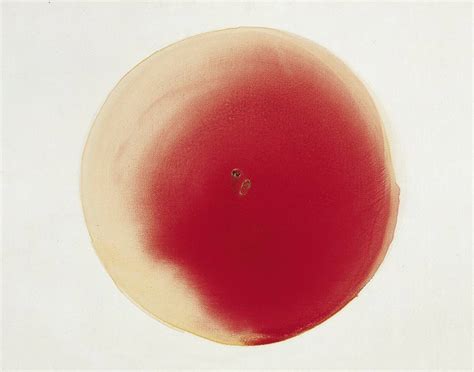 Wuppertal Otto Piene Im Von Der Heydt Museum