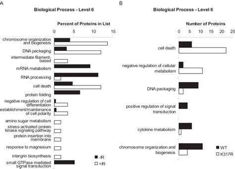 Gene Ontology Biological Process Classification Of Proteins Observed Download Scientific