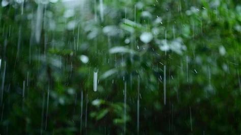 Torrential Rain Stock Photos, Images and Backgrounds for Free Download