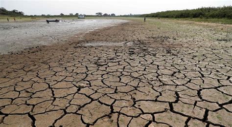 Clima Del Paraguay La Crónica De Una Muerte Anunciada El Independiente