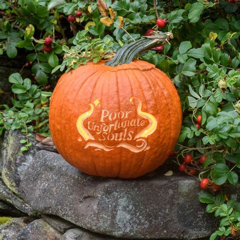 12 Disney Pumpkin Carving Stencils | Chewy