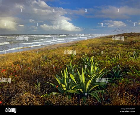 Apollo Beach At Canaveral National Seashore Florida Stock Photo Alamy