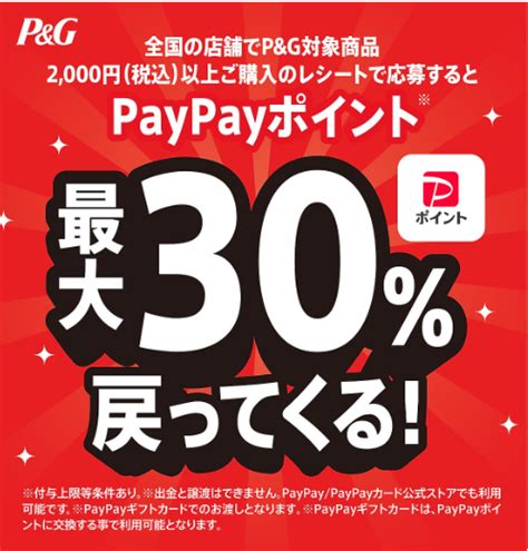 P G対象商品2000円以上購入でPayPayポイント最大30還元12 31まで