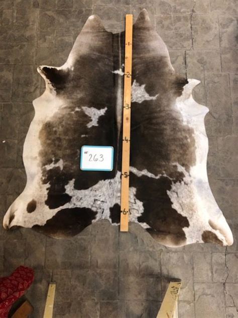 Hide Rug Cattle Longhorns Head To Tail Store