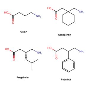 Gabapentinoid - Wikipedia