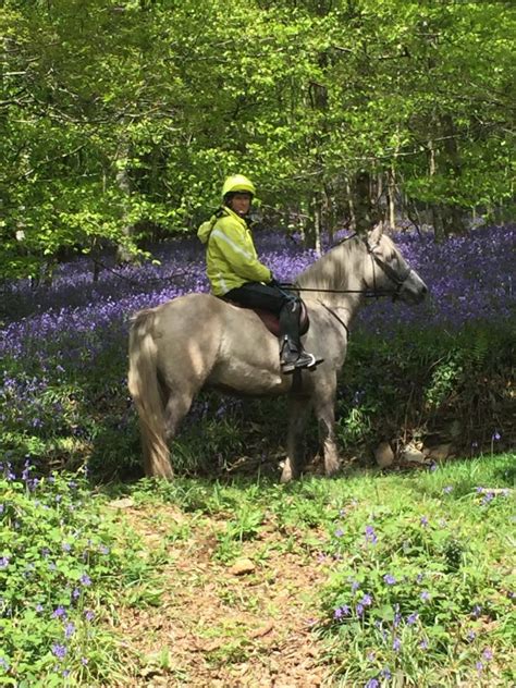woodland rural ramble  hamlet  village tor royal bb