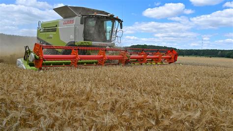 Nach Bauernprotest Ampel beschließt Entlastungspaket für Landwirte