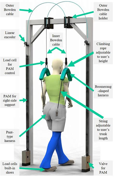 Frontiers Development Of Split Force Controlled Body Weight Support