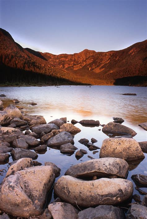 Parc National de la Gaspésie wildlife location in Canada, North America ...