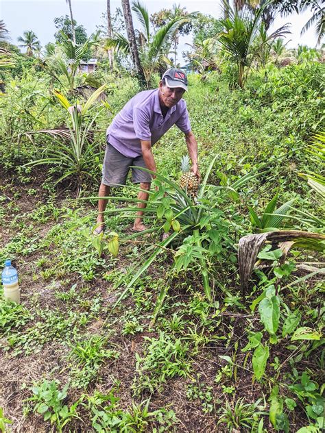 Wakapau Farmers Agro Processors Seeking To ‘raise Their Game