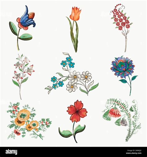 Vintage flower illustration vector set, featuring public domain ...