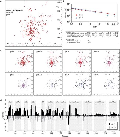 Nmr Analysis Of M1 A ¹h¹⁵n Hsqc Spectrum Of Full Length M1 At Ph 5