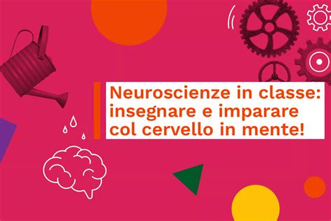 Wonderful Educators Neuroscienze In Classe Insegnare E Imparare Col