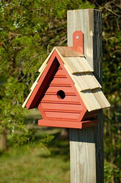 Chick Birdhouse By Heartwood Bird Houses