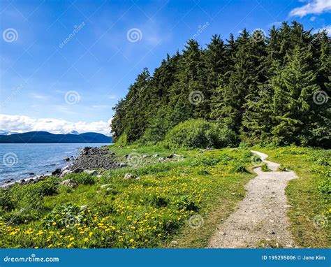 A View Of Auke Bay In Juneau Alaska Stock Photo Image Of Tourism