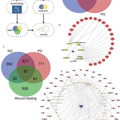 The Construction Of Compound Target Networks Between P Ginseng PG And