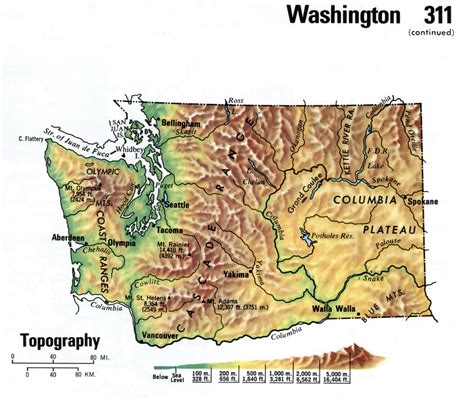 Beautiful Washington State Topographic Map Concept - World Map Colored ...