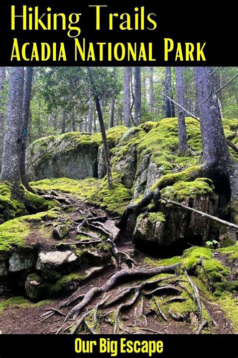 15 Easy Hiking Trails In Acadia National Park (Updated 2022) | Acadia ...