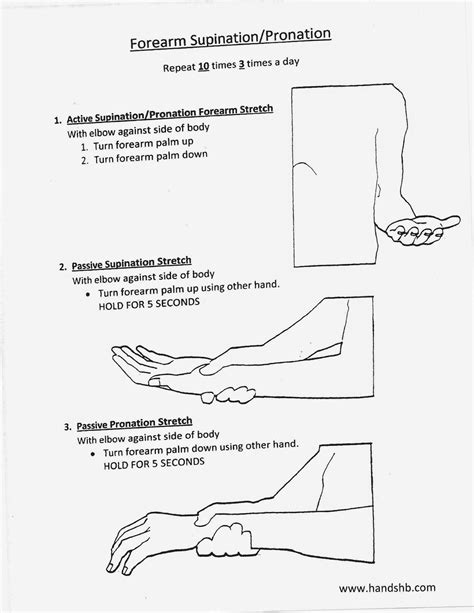 Forearm Supination Pronation 12371600 Home Exercise Program