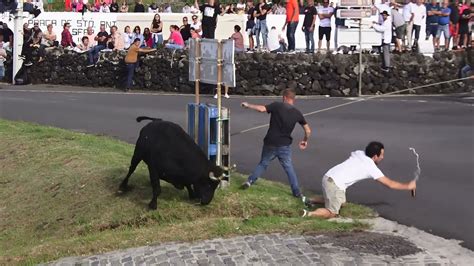 Ganadaria Eg Porto Dos Biscoitos Ilha Terceira A Ores