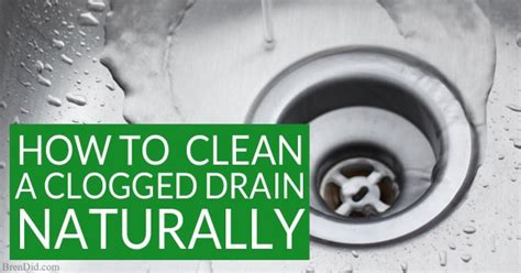 How To Naturally Clean A Clogged Drain The Definitive Guide Bren Did