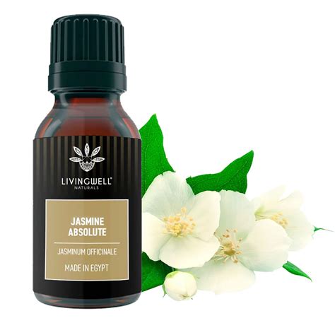 Jasmine Absolute Jasminum Officinale Livingwell Naturals