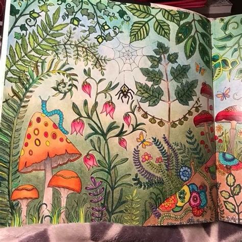 Enchanted Forest Coloring Book