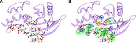 The Receptor Ligand Pharmacophore Generation Based On The Structure Of