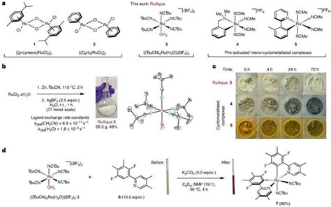 Scientists Unveil Ruthenium Catalyst For New Reaction Discovery And