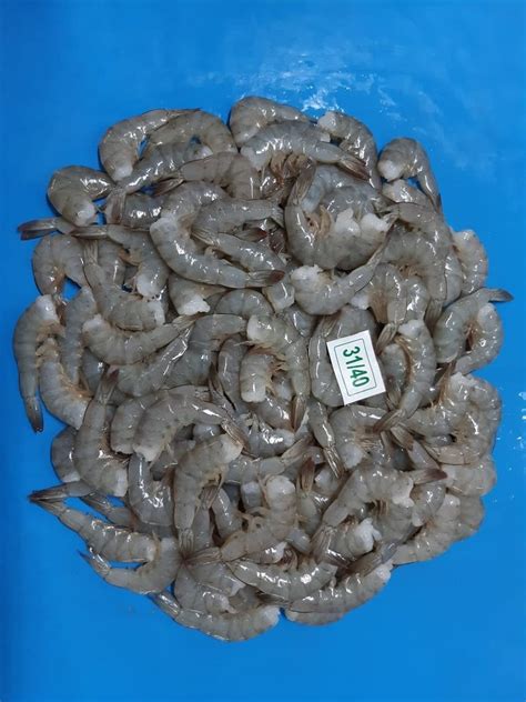 Frozen Hlso Vannamei Shrimps Packaging Type Cartons At Rs 450 Kg In Kochi