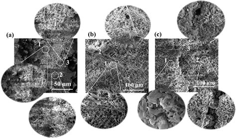 Figure 2 From A Study Of The Hot Salt Corrosion Behavior Of Three Nickel Based Single Crystal