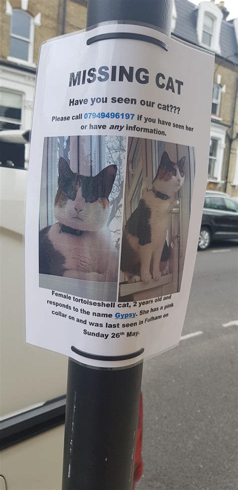 Pedestrians are calling for better safety on Putney Bridge today 33