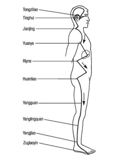 ¿qué Son Los Meridianos Del Cuerpo Lo Que Debes Saber