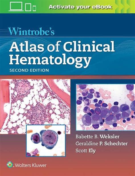 Book Wintrobe S Atlas Of Clinical Hematology Weksler Schechter