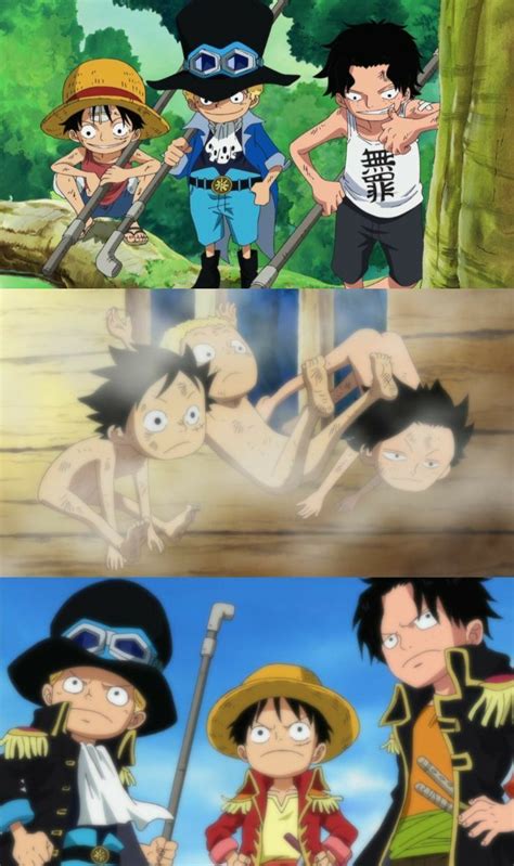 Luffy Zoro Nami Usopp Sanji Chopper Robin Franky Brook Jimbe Onepiece